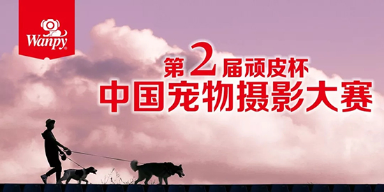 传奇国际(中国)创新科技有限公司