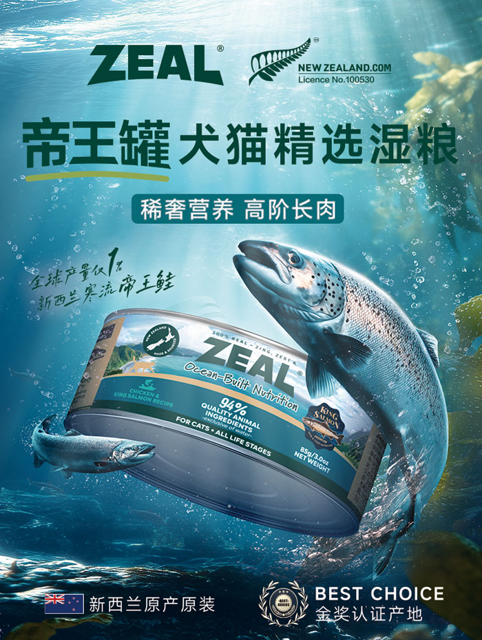 传奇国际(中国)创新科技有限公司